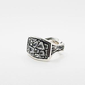 Four Elements Ring - Donna Hiebert Artist