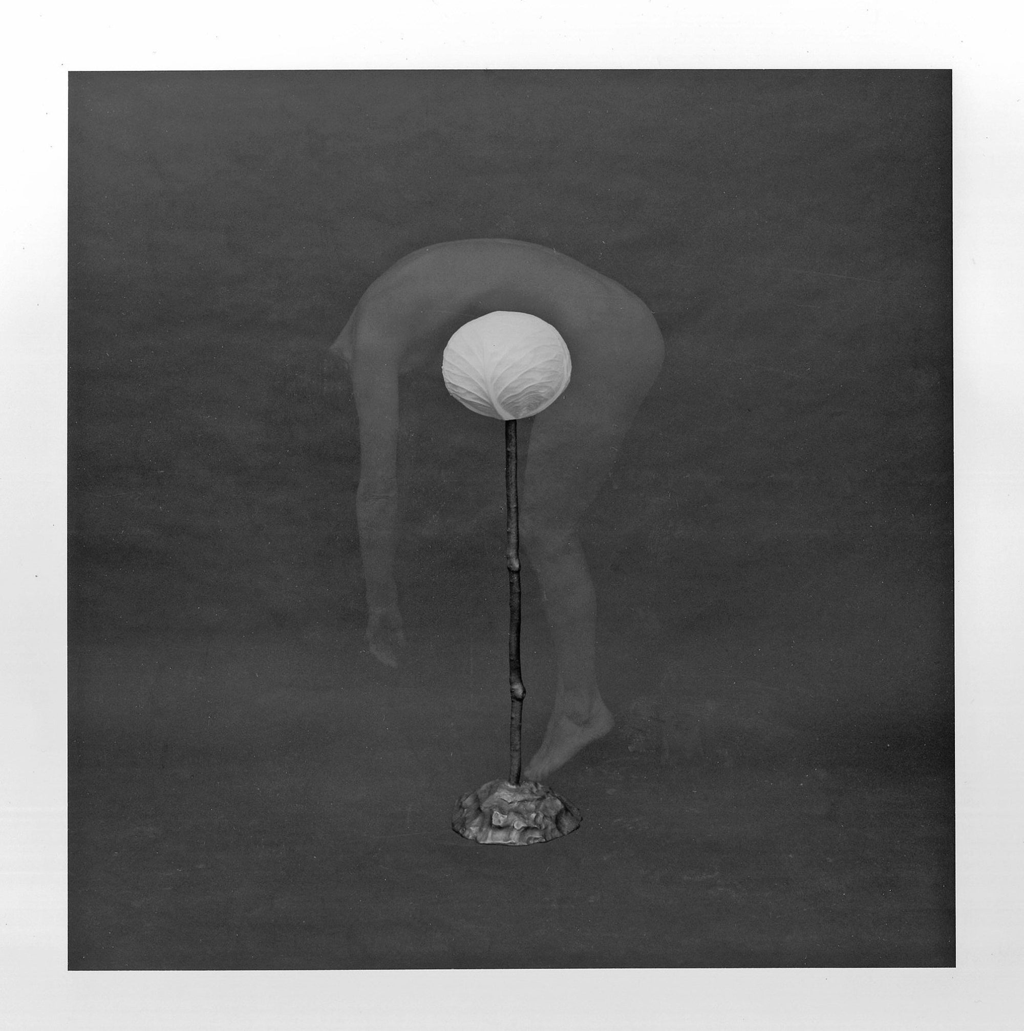 Isolation - Donna Hiebert Artist