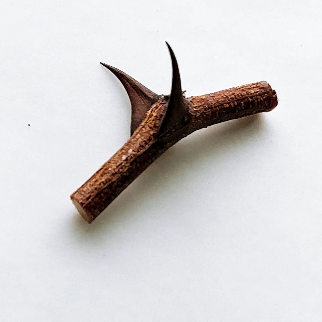 Torcida Espina Pendant - Donna Hiebert Artist
